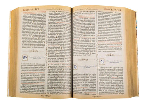 Sagrada Biblia Dorada (tapa Acolchada) / Lexus