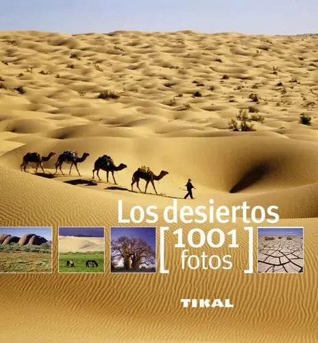 Los Desiertos (1001 Fotos) / Tikal