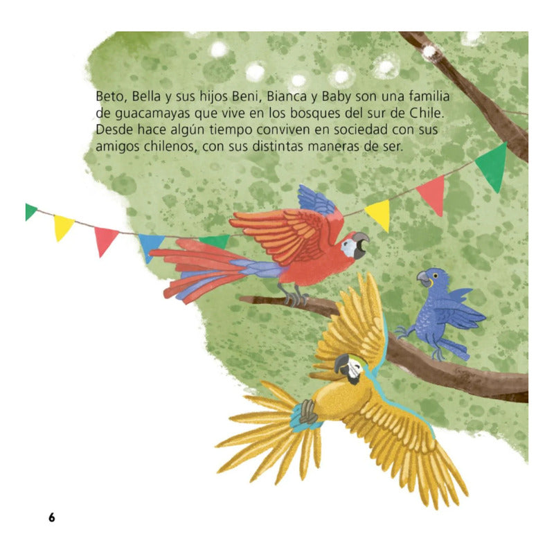 Beto Y Bella Buscan Al Rey Condor / Ramos Y Frank