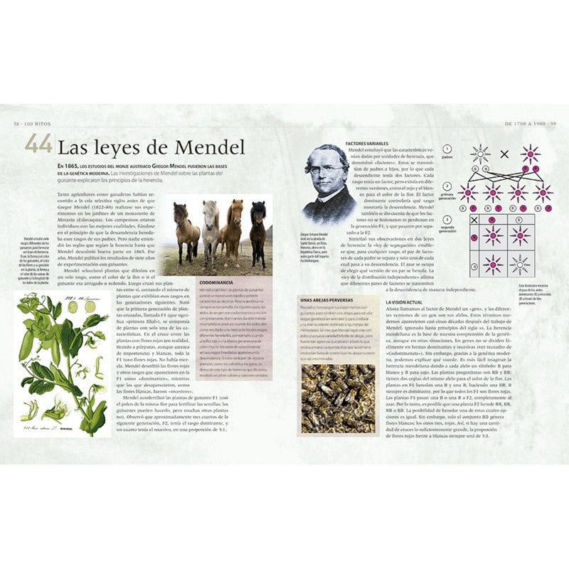 Biología Una Historia Ilustrada De La Vida Natural / Jackson