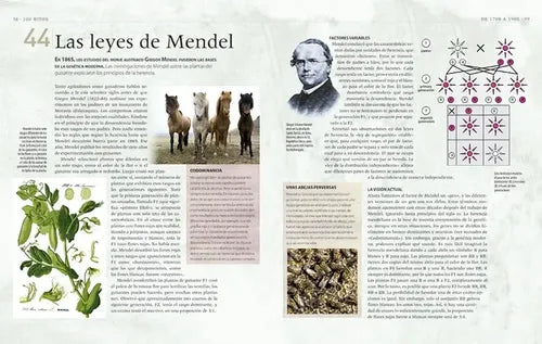 Biología Una Historia Ilustrada De La Vida Natural / Jackson