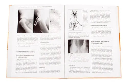 Manual De Alteraciones Musculoesquéleticas / Lexus