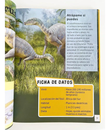 Enciclopedia Infantil De Los Dinosaurios (tapa Dura) / Lexus
