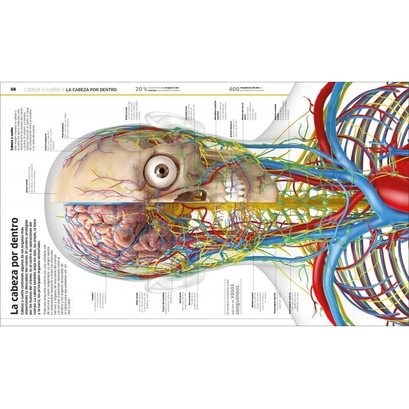 Dk Cuerpo Humano (tapa Dura)
