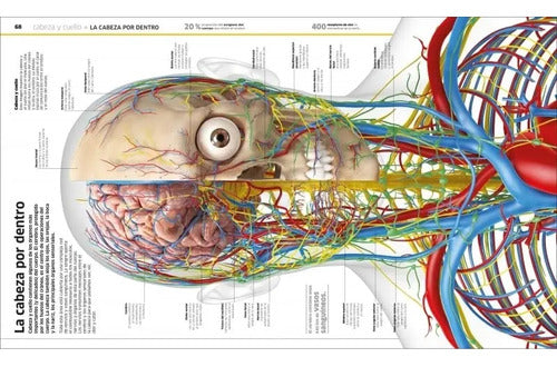 Dk Cuerpo Humano (tapa Dura)