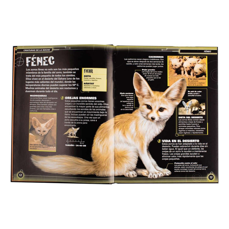 Criaturas De La Noche / Lexus