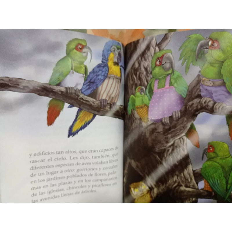 Olegario / Maga Villalon