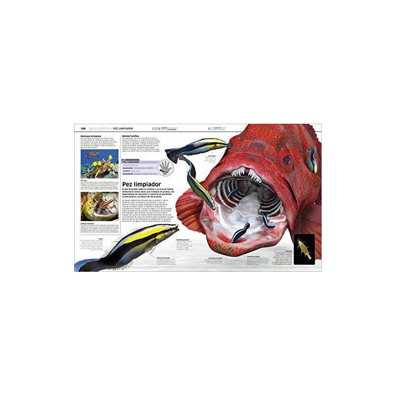 Dk Oceanos El Planeta Bajo El Agua (tapa Dura)