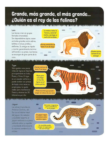 Asombrosos Mega Animales (tapa Dura) / Lexus