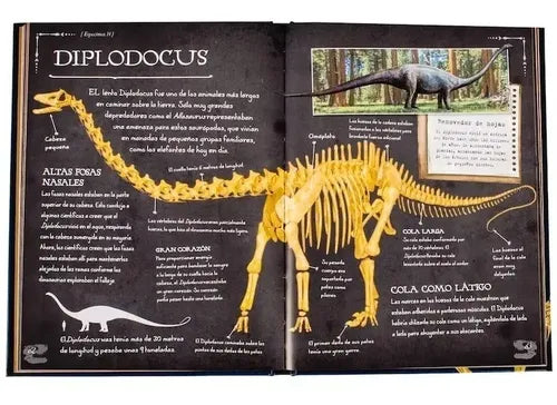 Colección De Huesos Dinosaurios (tapa Dura) / Lexus