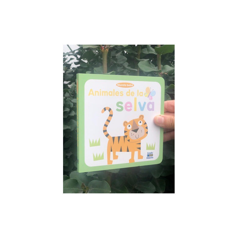 Animales De La Selva / Estudio Didáctico