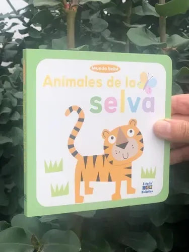 Animales De La Selva / Estudio Didáctico