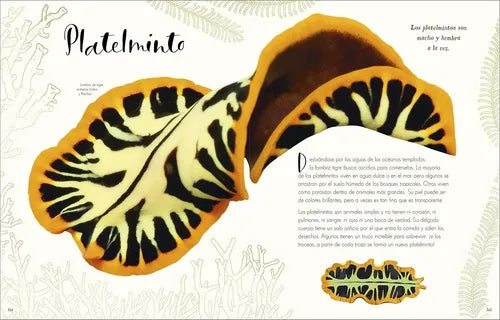 Dk Enciclopedia Maravillas Naturales (tapa Dura)