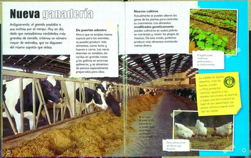 Recursos Naturales (s.o.s.planeta Tierra) / Susaeta
