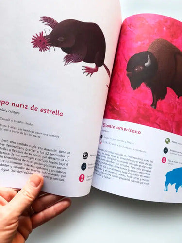 Animales Americanos (tapa Dura) / Loreto Salinas