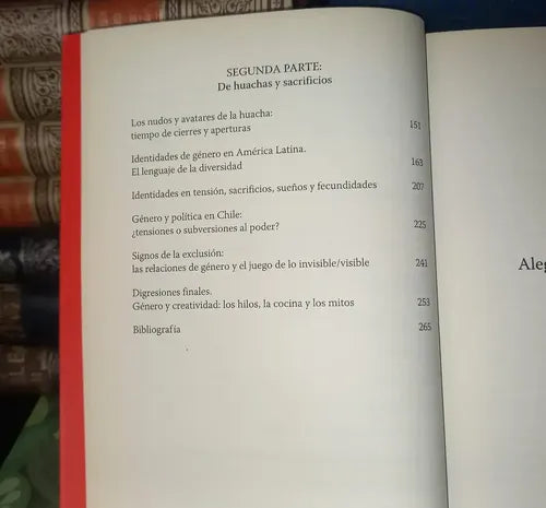 Madres Y Huachos / Sonia Montecino