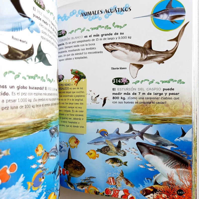 500 Preguntas Y Respuestas Sobre Los Animales (portada 3d)