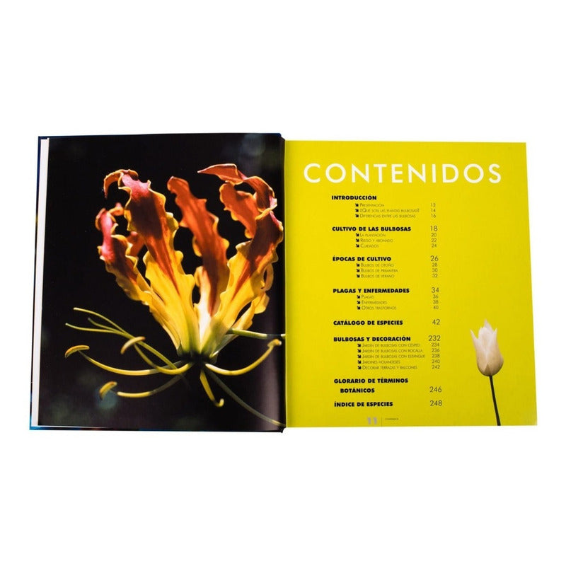 Atlas Ilustrado De Las Flores De Bulbo / Lexus