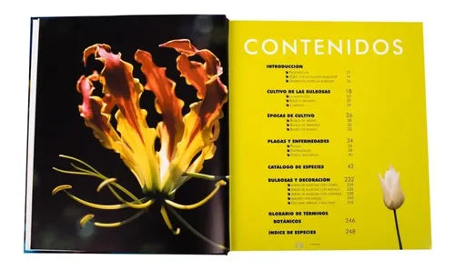 Atlas Ilustrado De Las Flores De Bulbo / Lexus