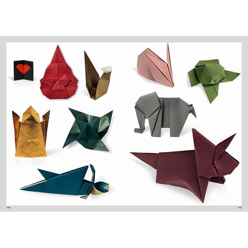 Origami Fascinante / Nick Robinson