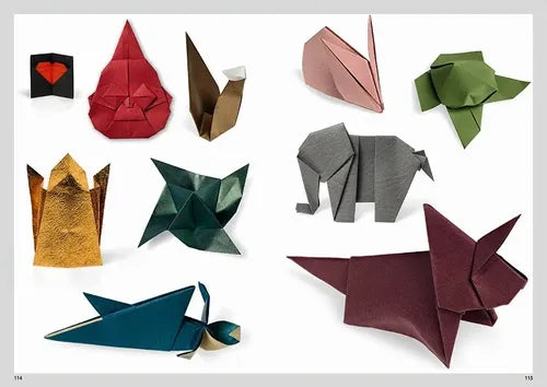 Origami Fascinante / Nick Robinson