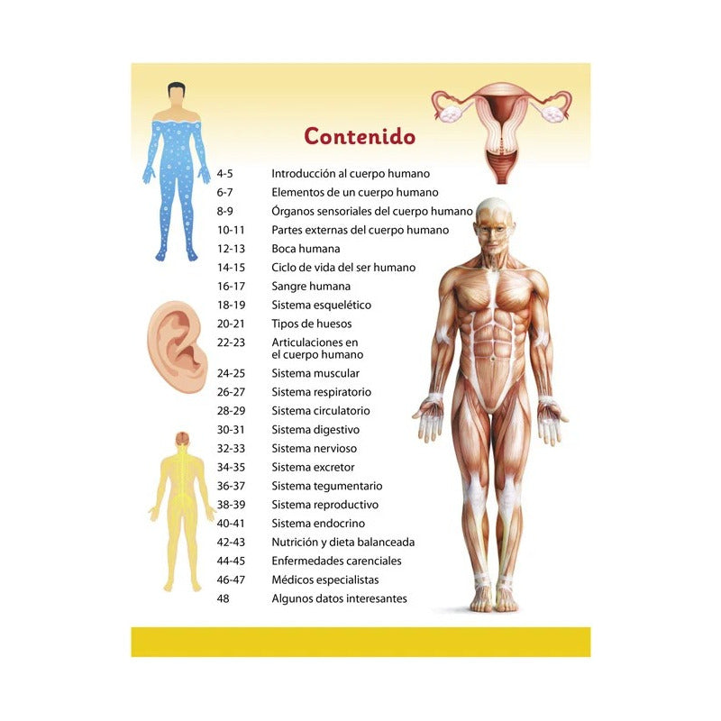 Enciclopedia Ilustrada Para Niños Cuerpo Humano / Lexus