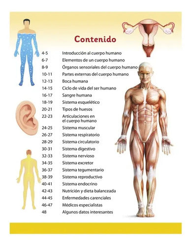 Enciclopedia Ilustrada Para Niños Cuerpo Humano / Lexus