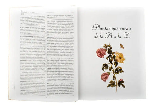 Plantas Que Curan (tapa Dura) / Luis Tomas Melgar