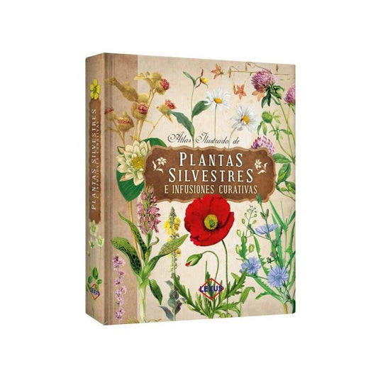Atlas Ilustrado De Plantas Silvestres E Infusiones Curativas