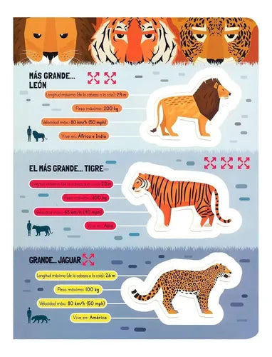 Asombrosos Mega Animales (tapa Dura) / Lexus