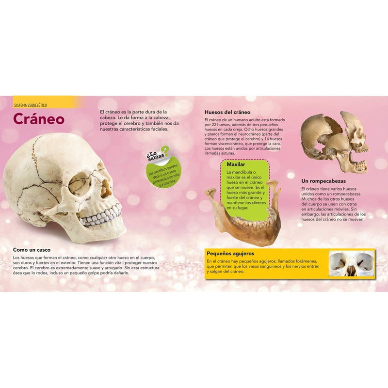 Enciclopedia Infantil Del Cuerpo Humano (tapa Dura)