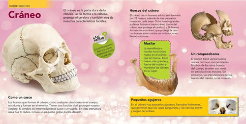 Enciclopedia Infantil Del Cuerpo Humano (tapa Dura)