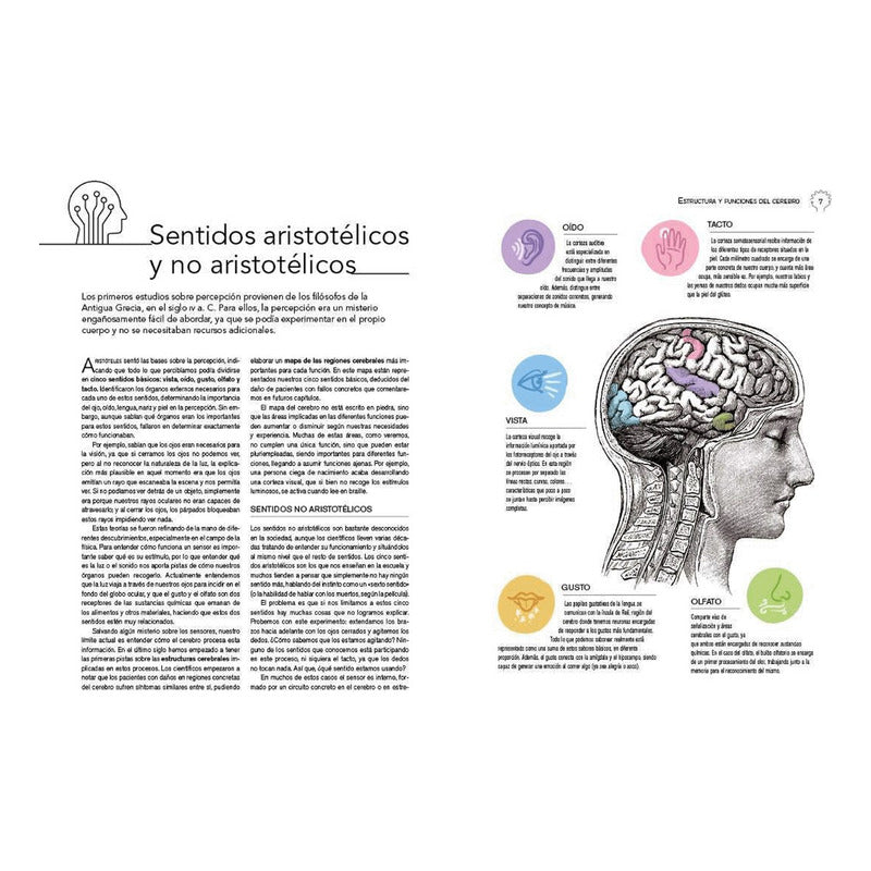 Neurociencia Estructura Y Funciones Del Cerebro / Lexus