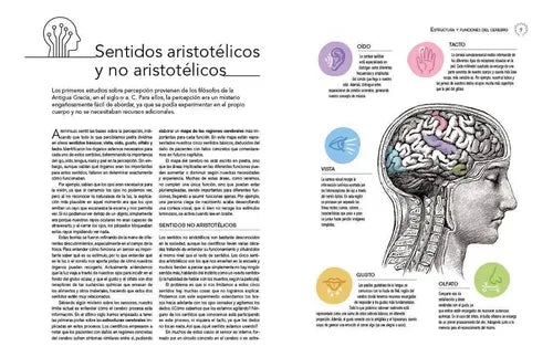 Neurociencia Estructura Y Funciones Del Cerebro / Lexus