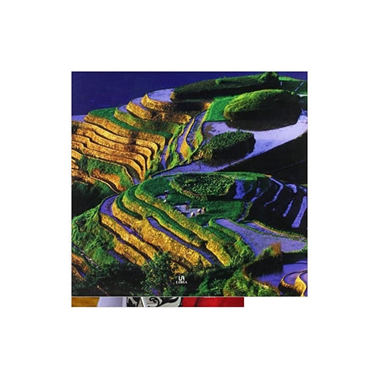 China El Reino Del Dragon / Gianni A. S., Marie-jo W.r