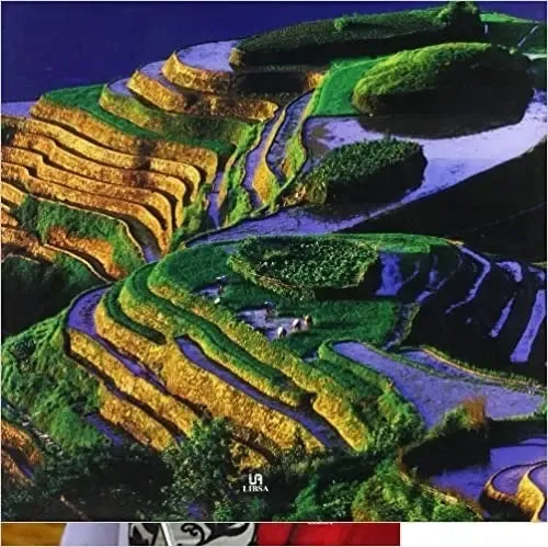 China El Reino Del Dragon / Gianni A. S., Marie-jo W.r