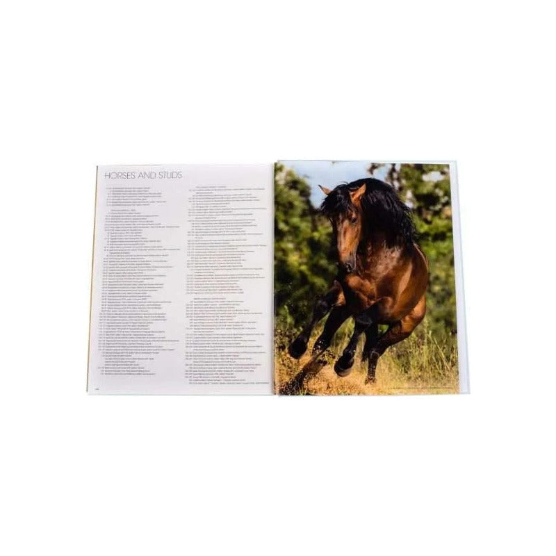 Andaluces Lusitanos (tapa Dura) / Lexus