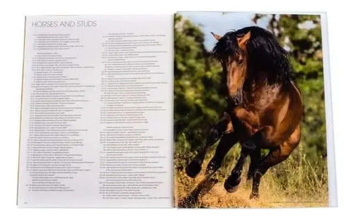 Andaluces Lusitanos (tapa Dura) / Lexus
