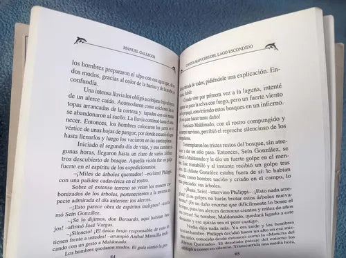 Cuentos Mapuches Del Lago Escondido / Manuel Gallegos