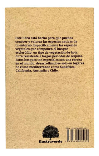 Observando El Bosque Esclerofilo / Claudia Ortiz