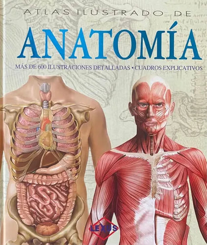 Atlas Ilustrado De Anatomia (tapa Dura) / Lexus