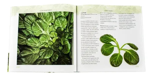Súper Verdes (tapa Dura) / Lucy Cornell