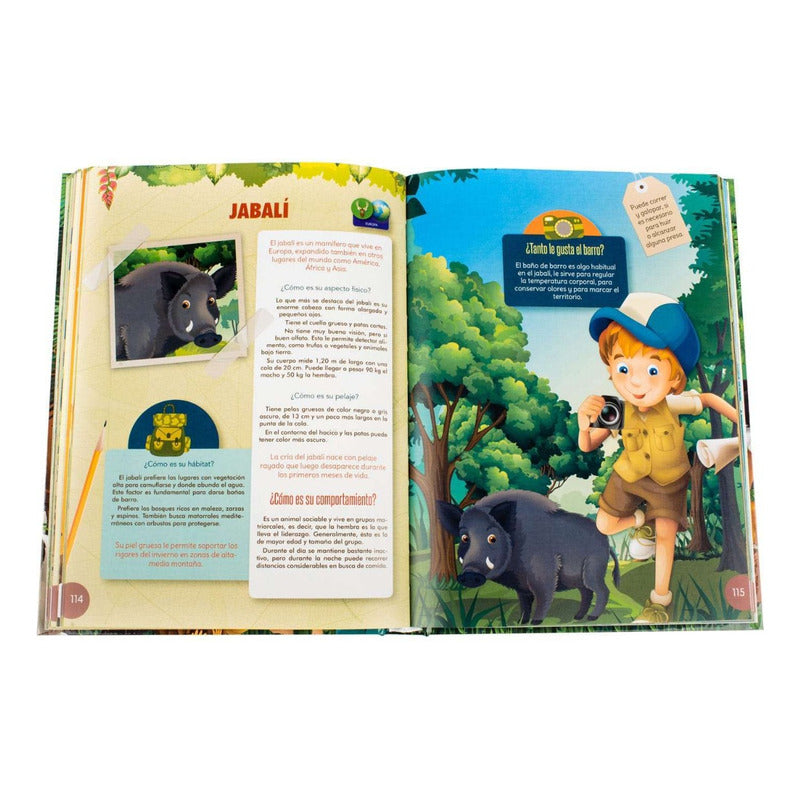 Safari Fotográfico (tapa Dura) / Lexus