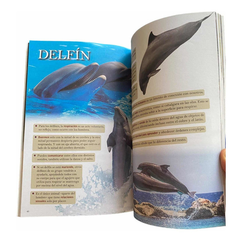 El Mundo Animal / Albor