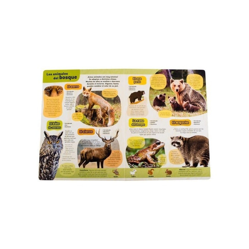 Mi Gran Libro De Animales / Lexus