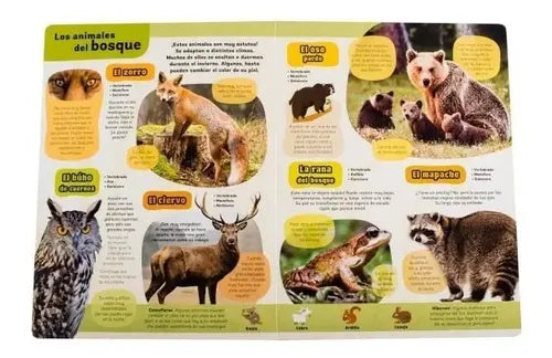 Mi Gran Libro De Animales / Lexus