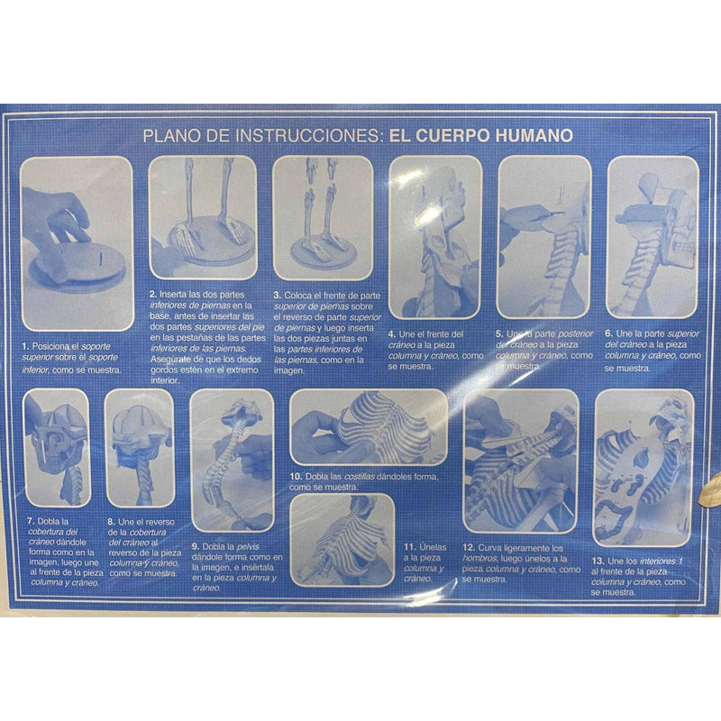 El Fascinante Cuerpo Humano Libro+maqueta Esqueleto / Lexus