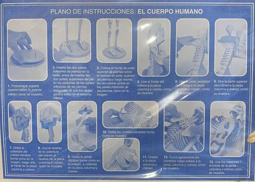 El Fascinante Cuerpo Humano Libro+maqueta Esqueleto / Lexus