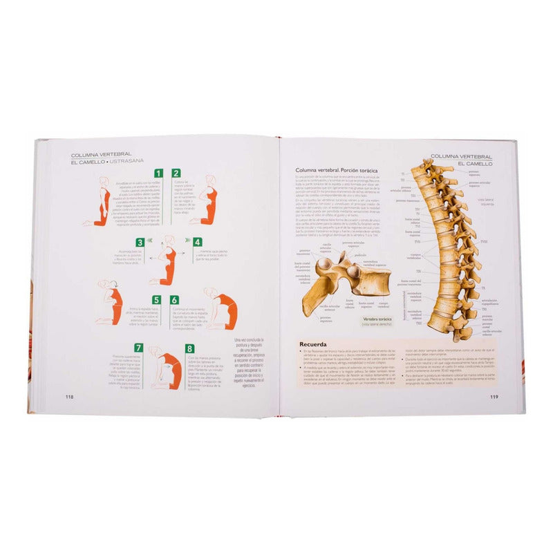 Atlas Ilustrado De Yoga Anatomia Y Posturas / Lexus