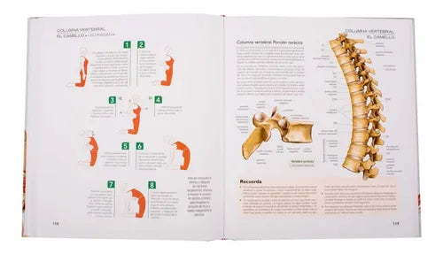 Atlas Ilustrado De Yoga Anatomia Y Posturas / Lexus